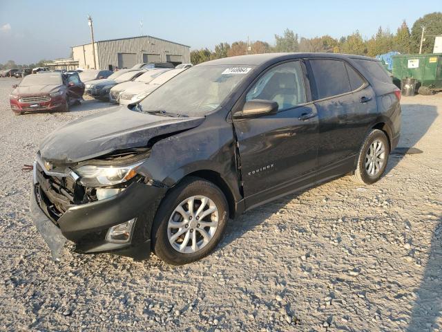 Photo 1 from auction – 2019 CHEVROLET EQUINOX LS with VIN 2GNAXHEVXK6216166