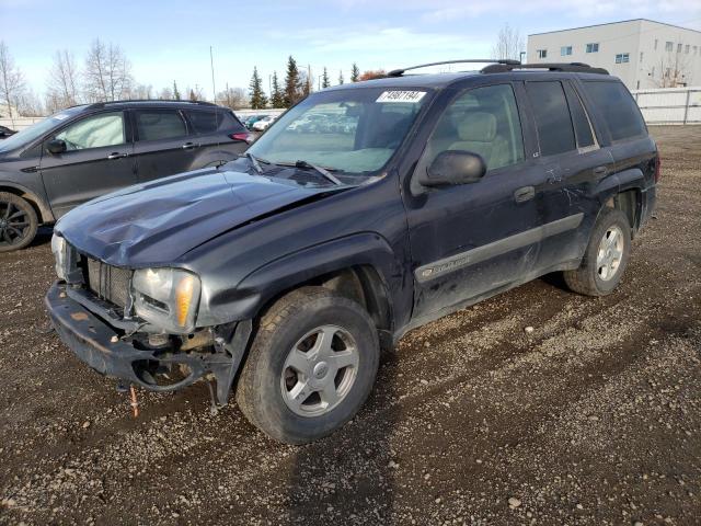 CHEVROLET TRAILBLAZE 2003 with VIN 1GNDT13S732223101 - Photo from auction