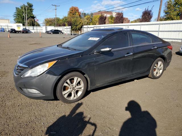 HYUNDAI SONATA SE 2011 with VIN 5NPEC4AC7BH276128 - Photo from auction
