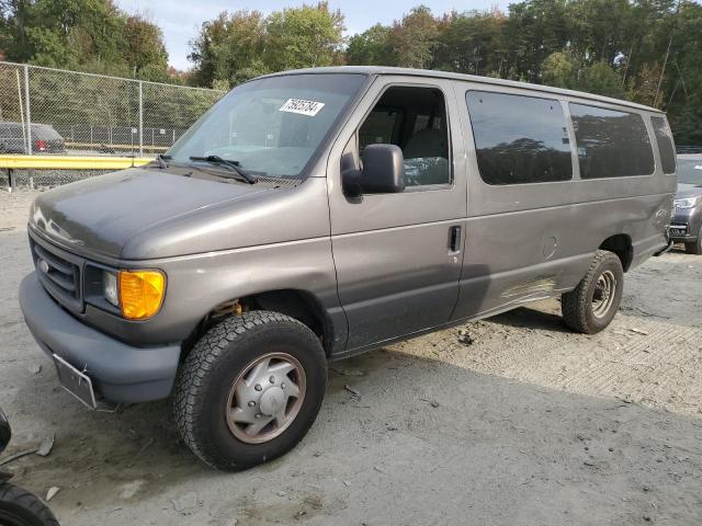 FORD ECONOLINE 2007 with VIN 1FBSS31L47DB30495 - Photo from auction