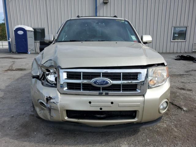 Photo 5 from auction – 2011 FORD ESCAPE LIM with VIN 1FMCU9EG7BKC27572