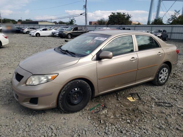 TOYOTA COROLLA BA 2010 with VIN 2T1BU4EE2AC314880 - Photo from auction