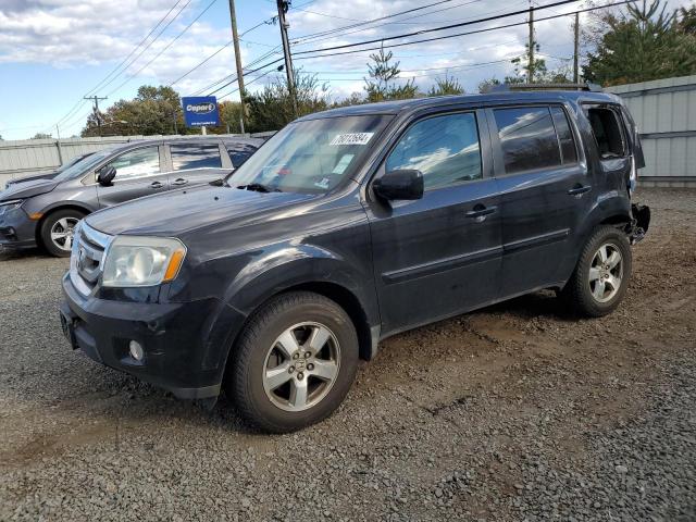 HONDA PILOT EXL 2009 with VIN 5FNYF48529B039275 - Photo from auction