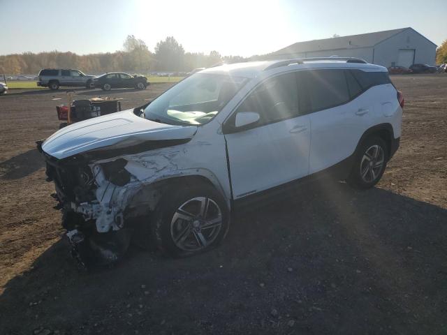 GMC TERRAIN SL 2021 with VIN 3GKALVEV2ML301704 - Photo from auction