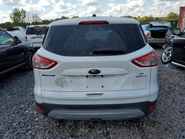 Photo 6 from auction – 2014 FORD ESCAPE SE with VIN 1FMCU0G99EUD66735