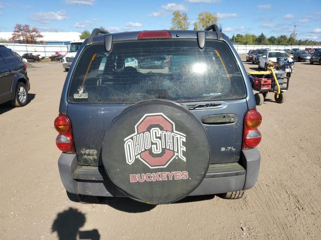 Photo 6 from auction – 2002 JEEP LIBERTY SP with VIN 1J4GL48K32W340479