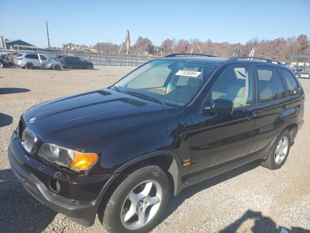 BMW X5 3.0I 2003 with VIN 5UXFA53563LV96891 - Photo from auction