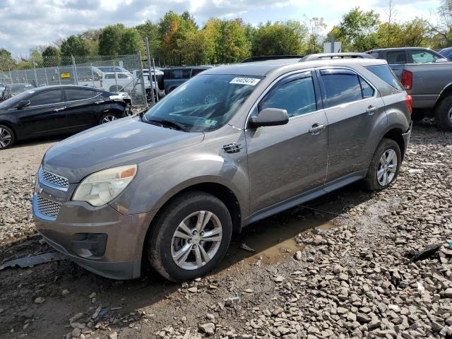 CHEVROLET EQUINOX LT 2011 with VIN 2CNALDEC9B6319232 - Photo from auction
