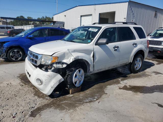 FORD ESCAPE XLT 2010 with VIN 1FMCU0DG1AKA09476 - Photo from auction