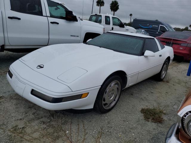 CHEVROLET CORVETTE 1995 with VIN 1G1YY22PXS5115866 - Photo from auction