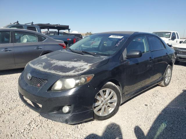 TOYOTA COROLLA BA 2010 with VIN 1NXBU4EE2AZ372504 - Photo from auction