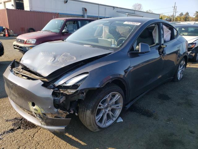 TESLA MODEL Y 2023 with VIN 7SAYGDED3PF934847 - Photo from auction
