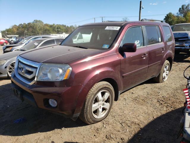HONDA PILOT EXL 2009 with VIN 5FNYF48689B020951 - Photo from auction