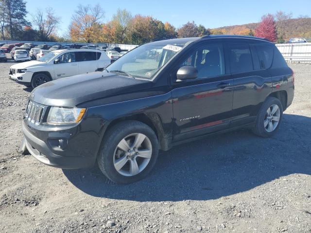 JEEP COMPASS SP 2011 with VIN 1J4NF1FB8BD154917 - Photo from auction