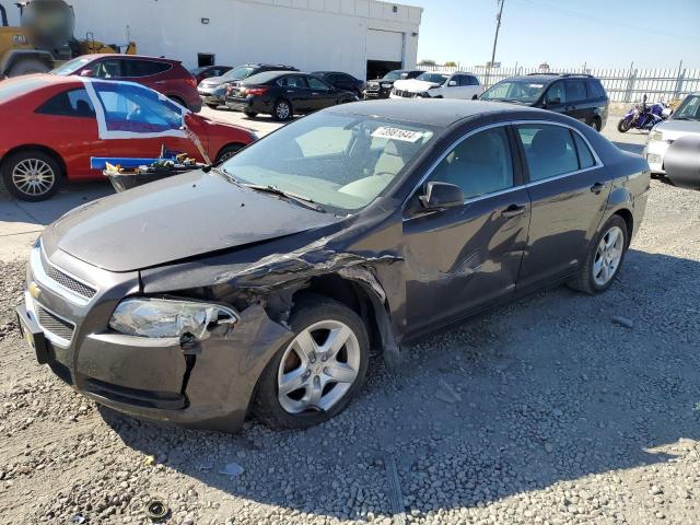 CHEVROLET MALIBU LS 2011 with VIN 1G1ZA5E18BF283002 - Photo from auction