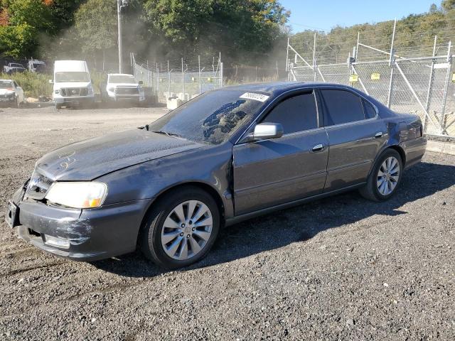 Photo 1 from auction – 2003 ACURA 3.2TL with VIN 19UUA56673A058419