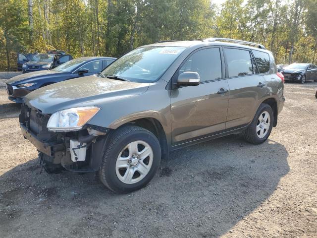 TOYOTA RAV4 2009 مع رقم تعريف المركبة 2T3BF33V29W008352 - صورة من المزاد