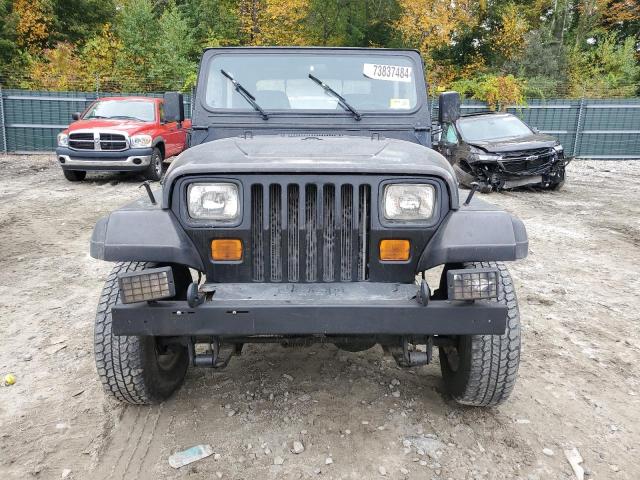 Photo 5 from auction – 1994 JEEP WRANGLER / with VIN 1J4FY19P6RP453045