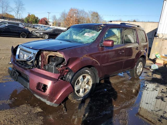 HONDA PILOT EXL 2009 with VIN 5FNYF48539B014773 - Photo from auction