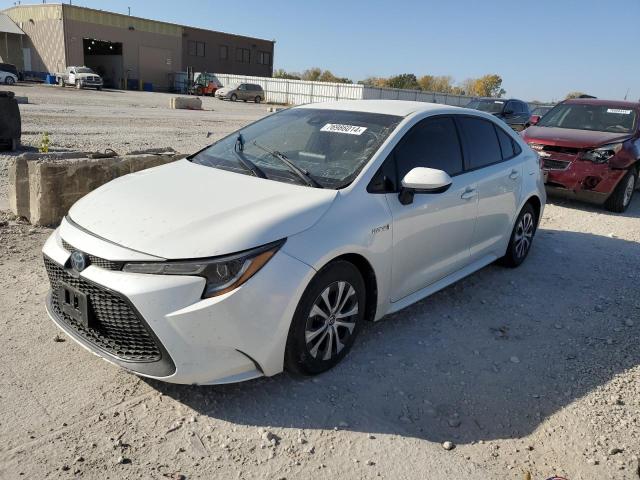 TOYOTA COROLLA LE 2020 with VIN JTDEBRBE8LJ026311 - Photo from auction