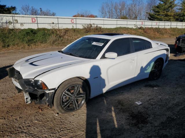 DODGE CHARGER R/ 2013 with VIN 2C3CDXDT2DH738693 - Photo from auction