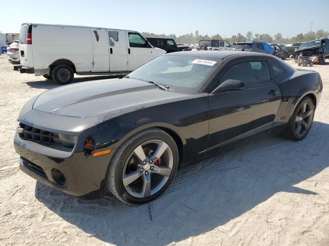 CHEVROLET CAMARO LS 2012 with VIN 2G1FA1E31C9133515 - Photo from auction