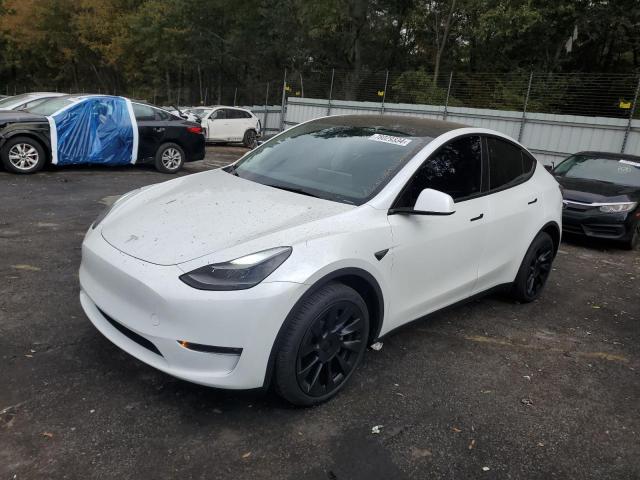 TESLA MODEL Y 2024 with VIN 7SAYGDEE3RA261440 - Photo from auction