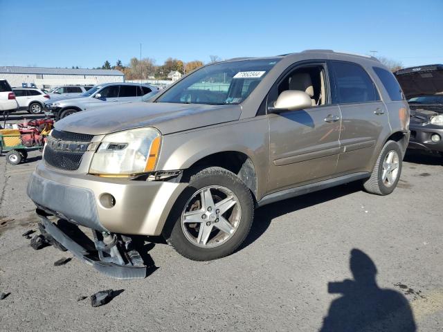 CHEVROLET EQUINOX 2006 with VIN 2CNDL73F566025781 - Photo from auction