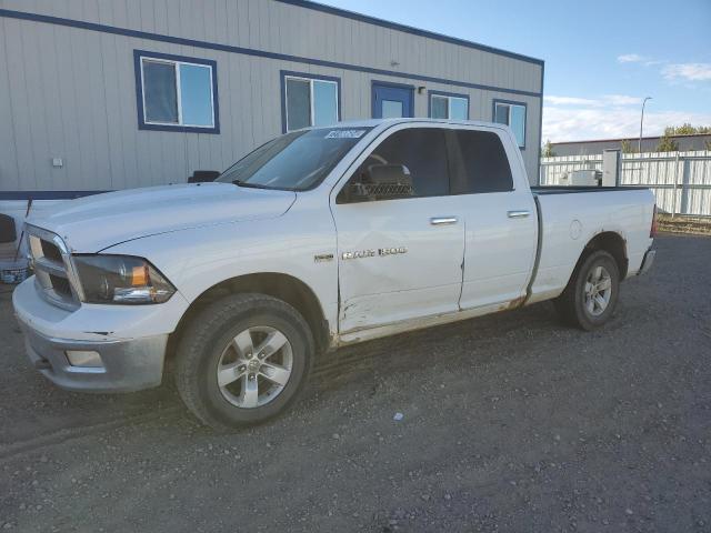 DODGE RAM 1500 2011 with VIN 1D7RV1GT3BS656205 - Photo from auction