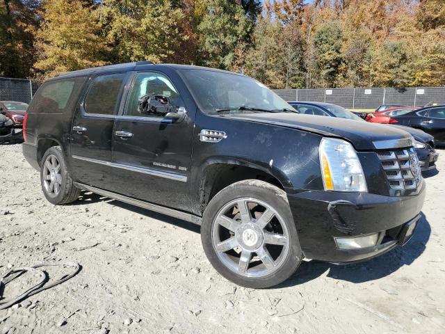 Photo 4 from auction – 2010 CADILLAC ESCALADE E with VIN 1GYUKJEFXAR249475