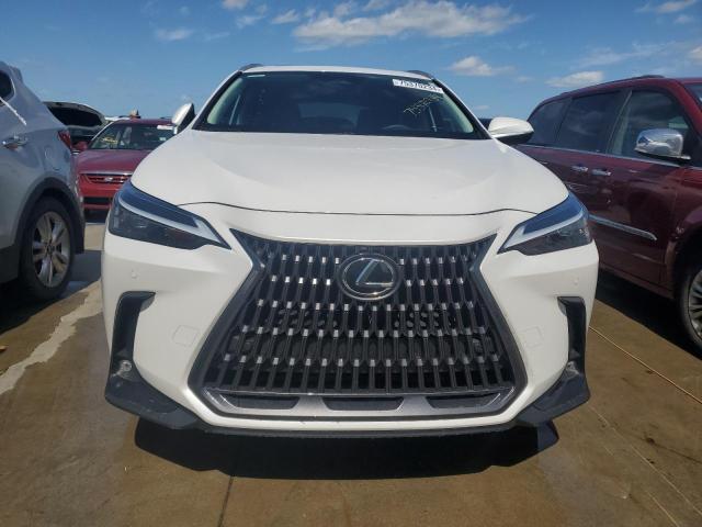 Photo 5 from auction – 2024 LEXUS NX 250 PRE with VIN 2T2GDCAZ7RC007723