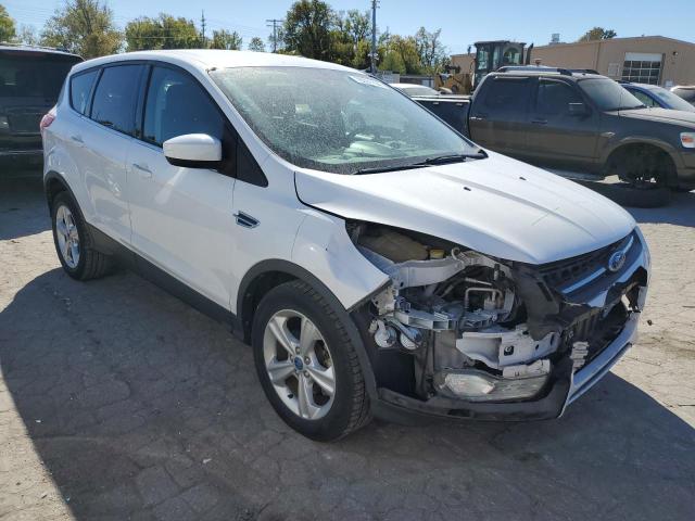 Photo 4 from auction – 2014 FORD ESCAPE SE with VIN 1FMCU9G94EUA24078