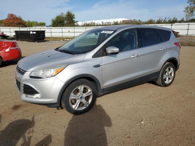 FORD ESCAPE SE 2014 with VIN 1FMCU0GX8EUD83699 - Photo from auction