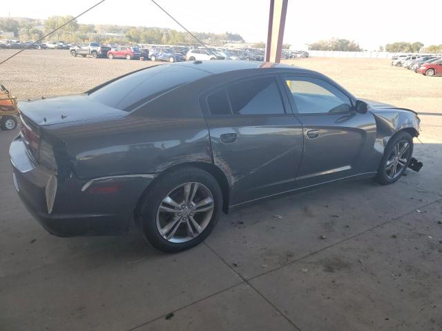 Photo 3 from auction – 2014 DODGE CHARGER R/ with VIN 2C3CDXDT9EH275565