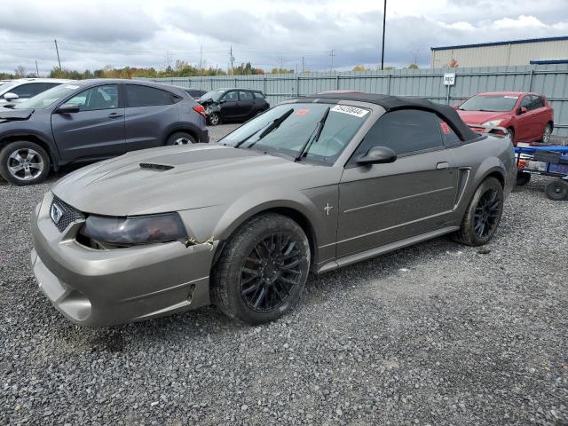 FORD MUSTANG 2002 with VIN 1FAFP44462F193920 - Photo from auction