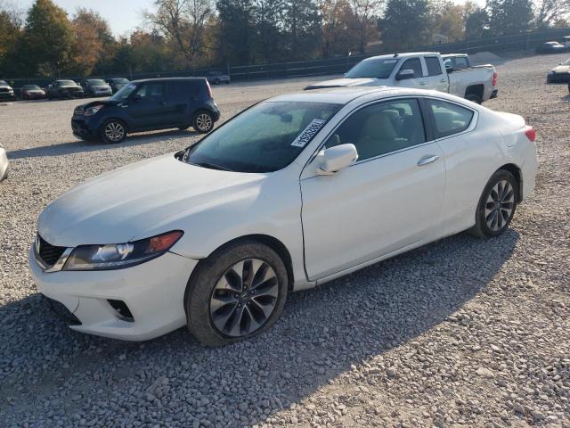 HONDA ACCORD EXL 2014 with VIN 1HGCT1B80EA009815 - Photo from auction