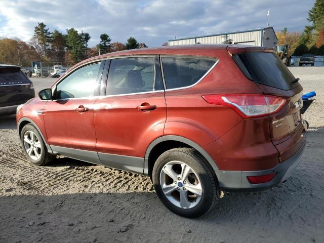 Photo 2 from auction – 2014 FORD ESCAPE SE with VIN 1FMCU0GX5EUB81287