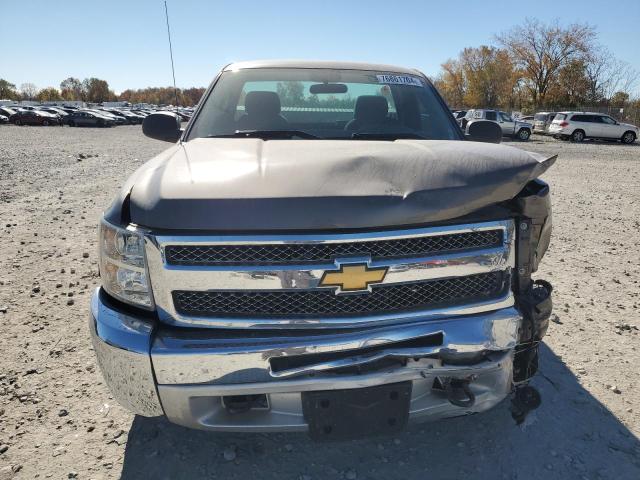 Photo 5 from auction – 2012 CHEVROLET SILVERADO with VIN 1GCNKPEA4CZ335224