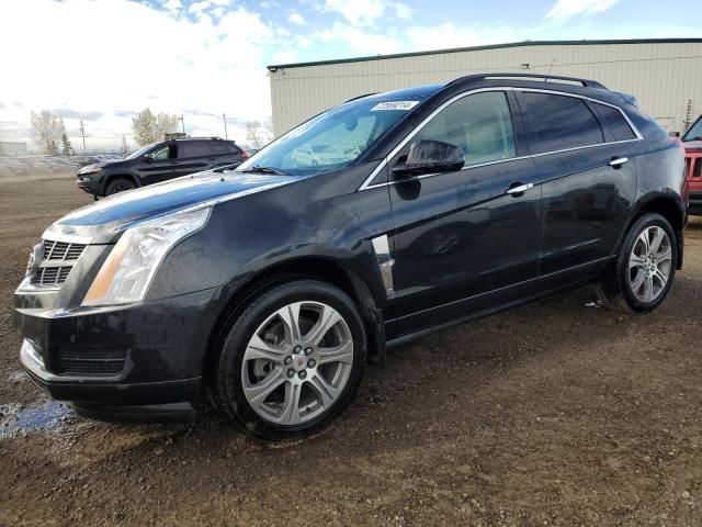 CADILLAC SRX 2011 with VIN 3GYFNGEY2BS651011 - Photo from auction