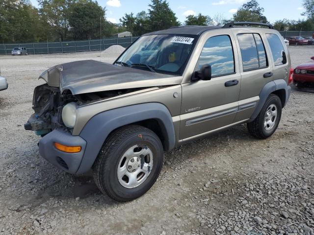 JEEP LIBERTY SP 2004 with VIN 1J4GL48K64W168581 - Photo from auction