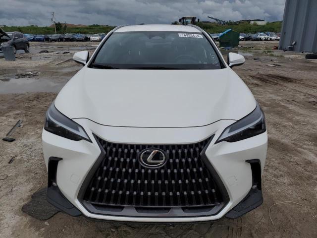 Photo 5 from auction – 2024 LEXUS NX 250 BAS with VIN JTJADCAZ5R2011145