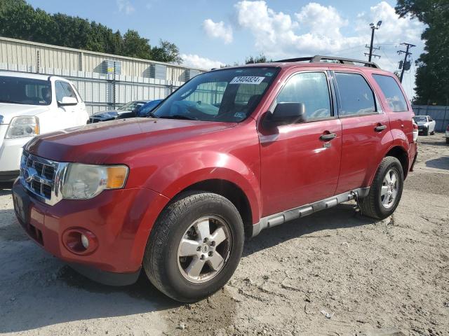 FORD ESCAPE XLT 2011 with VIN 1FMCU0DG2BKB95742 - Photo from auction
