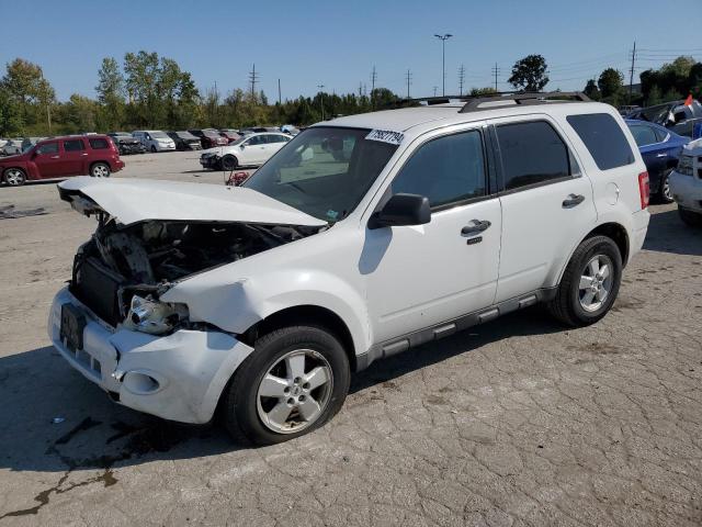 FORD ESCAPE XLT 2010 with VIN 1FMCU0D71AKC51300 - Photo from auction