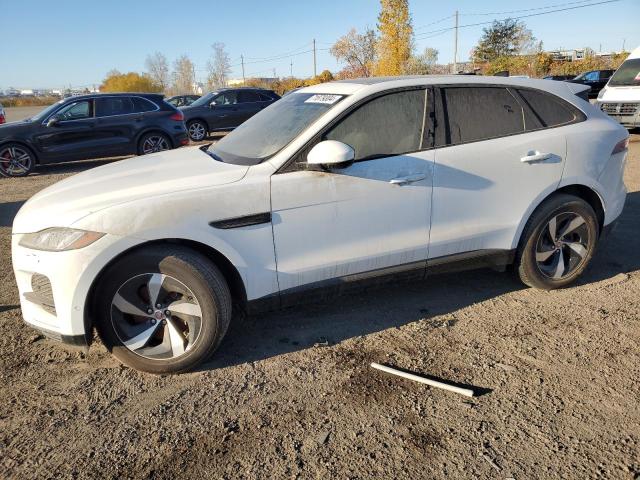 JAGUAR F-PACE S 2021 with VIN SADCJ2EX4MA681344 - Photo from auction