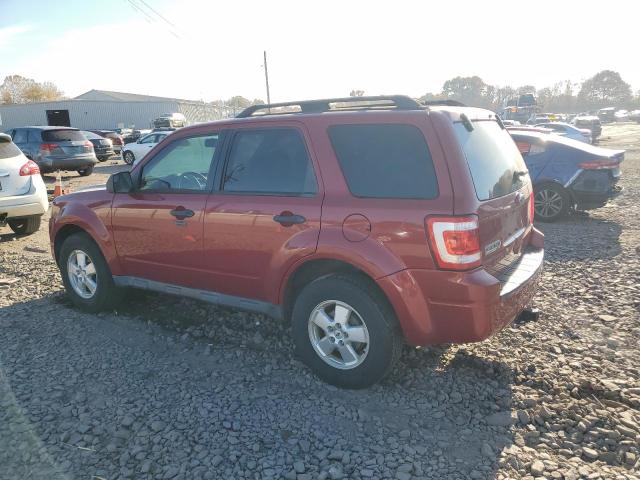 Photo 2 from auction – 2010 FORD ESCAPE XLT with VIN 1FMCU9DG7AKA78547