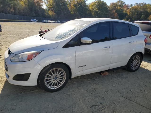 FORD C-MAX SE 2013 with VIN 1FADP5AU3DL503866 - Photo from auction