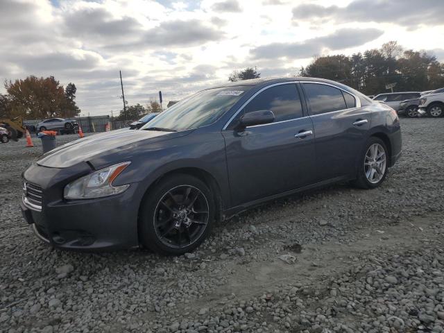 NISSAN MAXIMA S 2009 with VIN 1N4AA51E69C847583 - Photo from auction