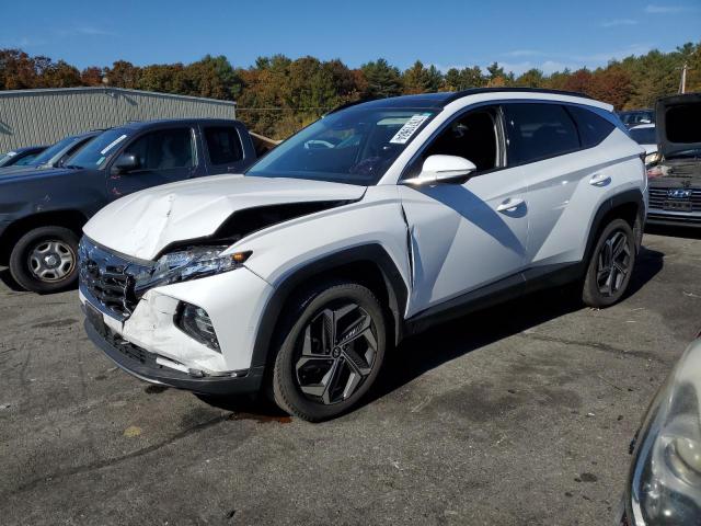 HYUNDAI TUCSON LIM 2023 with VIN 5NMJECAE8PH189928 - Photo from auction