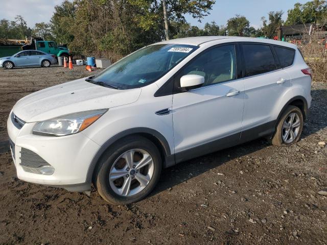 FORD ESCAPE SE 2014 with VIN 1FMCU9GX4EUD40935 - Photo from auction