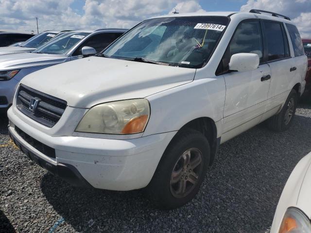 HONDA PILOT EX 2005 with VIN 5FNYF18445B038984 - Photo from auction